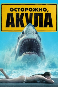 Осторожно, акулы / Shark Warning